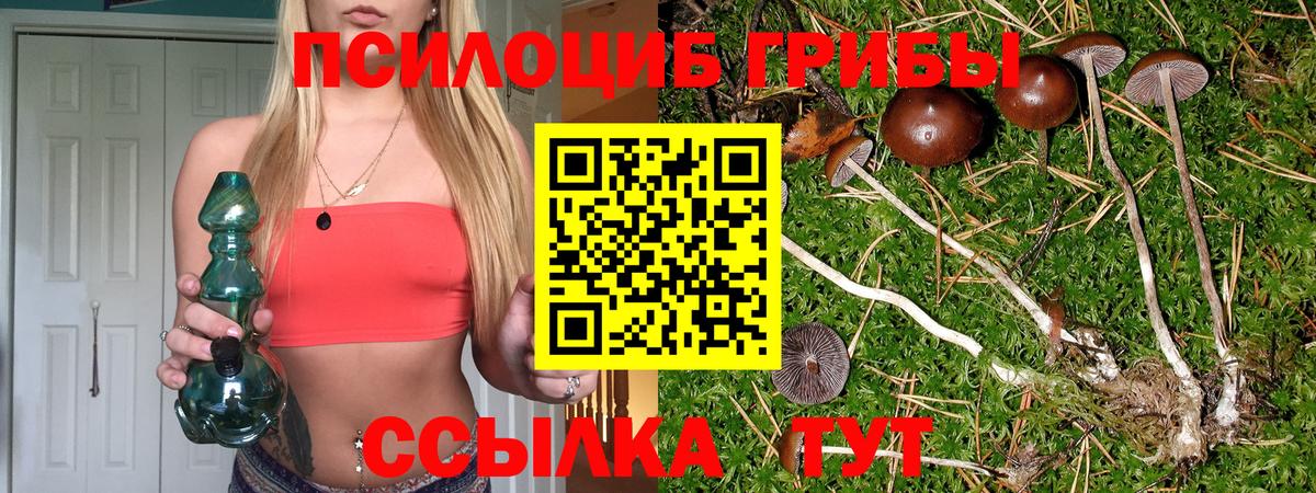 Псилоцибиновые грибы Psilocybine cubensis Карасук