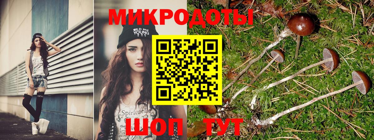 Псилоцибиновые грибы MAGIC MUSHROOMS  Вход с VPN  Карасук 